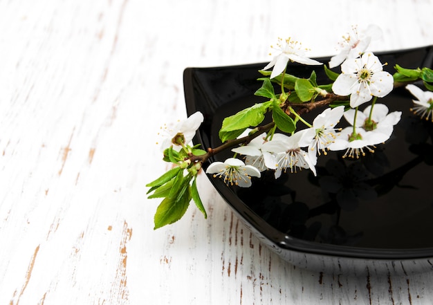 Fiore di ciliegio ramo bianco in ciotola