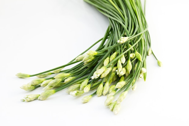 Fiore di erba cipollina