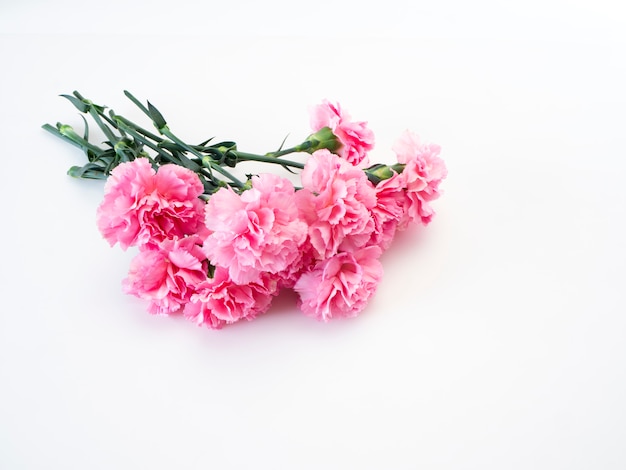 Fiore di garofani rosa per la festa della mamma