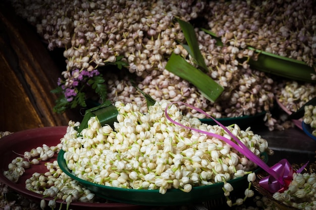 fiore di gelsomino con adorazione