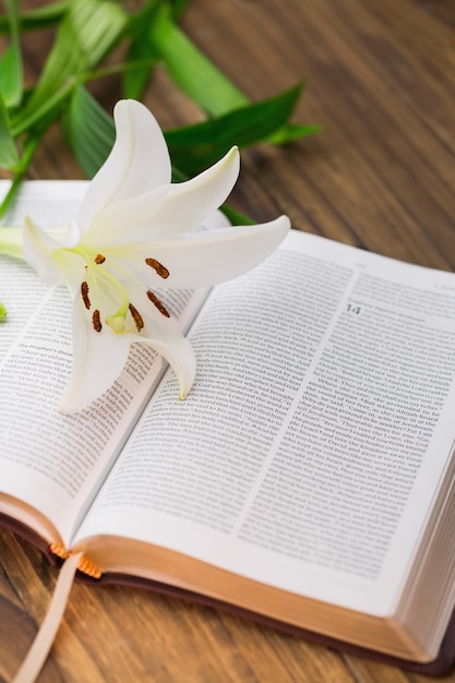 Fiore di giglio che riposa sulla Bibbia aperta