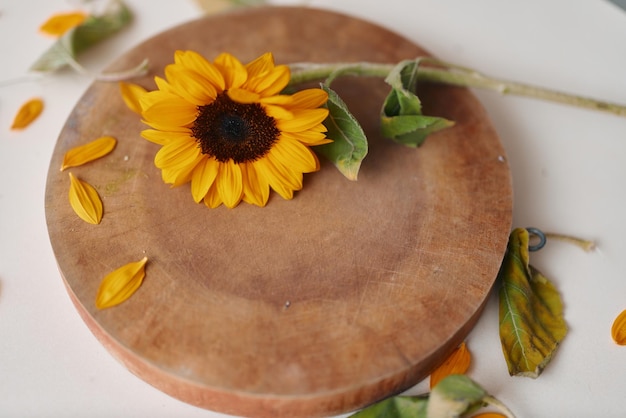 Fiore di girasole su un tavolo di legno rustico bellezza floreale nella natura stagione fresca