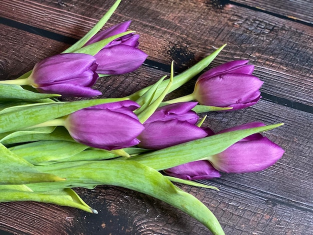 Fiore di lavanda bel crisantemo tulipano viola bouquet di bei tulipani rosa pronto come regalo per il giorno di San Valentino