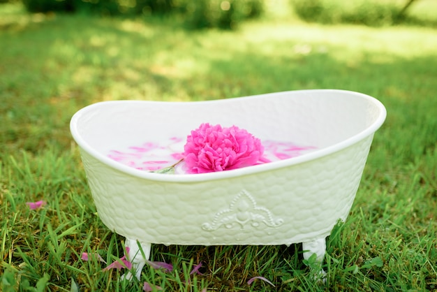 Fiore di peonia con petali in un bagno di latte.