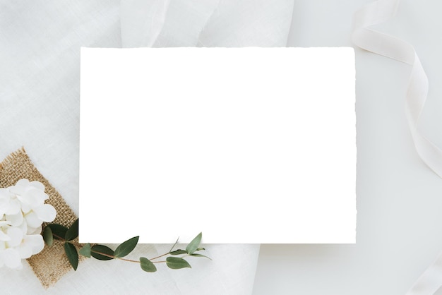 Fiore di pisello dolce da un elemento di design di modello di carta