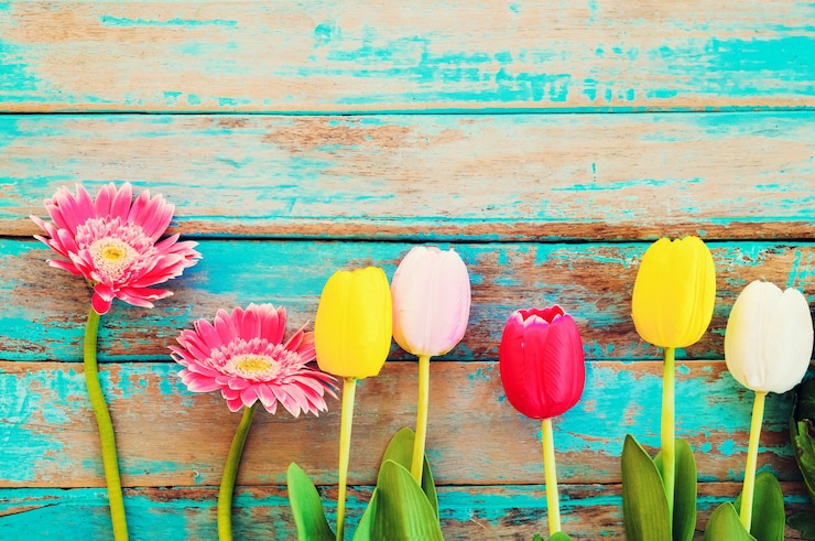 Foto fiore di primavera o estate sfondo