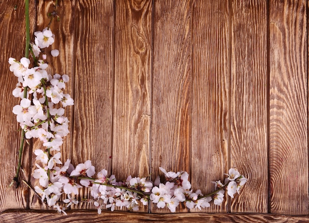 Fiore di primavera su sfondo di legno