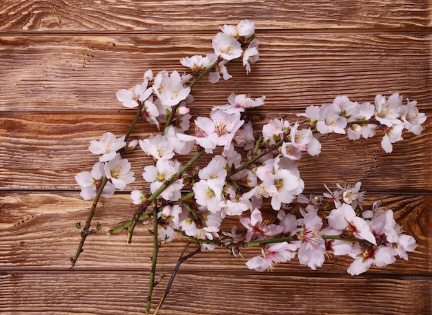 Fiore di primavera su sfondo di legno