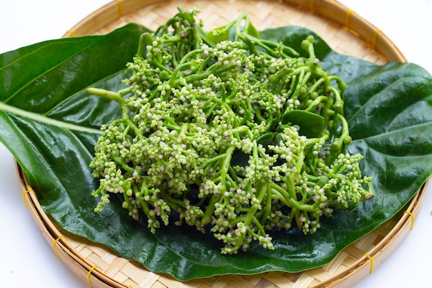 Fiore di spinaci di Ceylon su sfondo bianco.