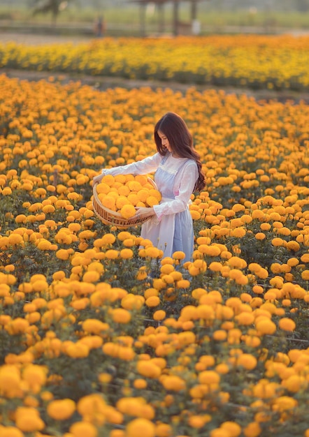 Fiore giallo calendula e la ragazza artista