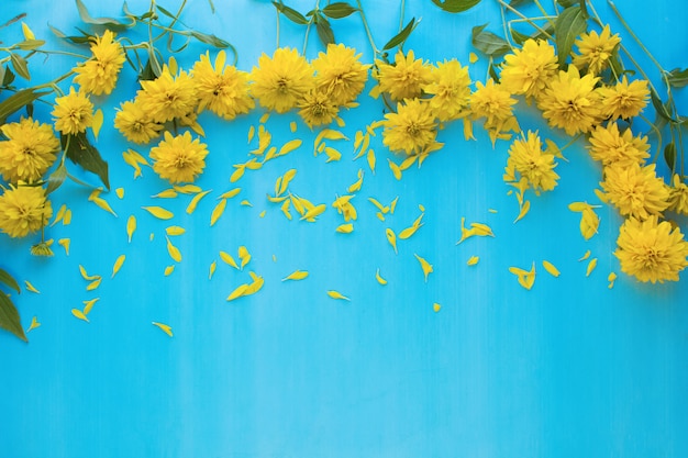 fiore giallo sul blu