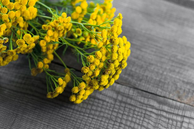 Fiore giallo tanaceto su un fondo di legno