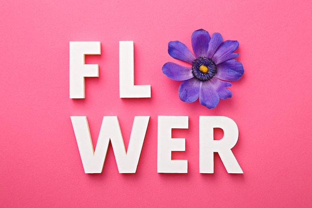 Fiore in blocchi di alfabeto