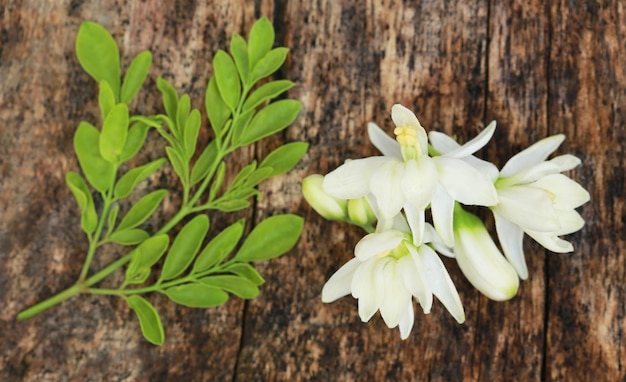 Fiore medicinale di moringa con foglie verdi sulla superficie del legno