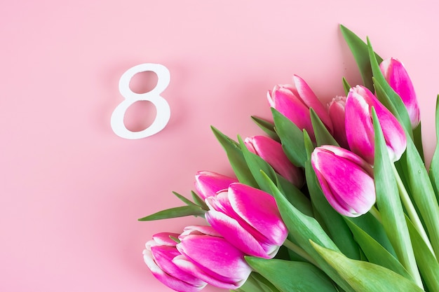 Fiore rosa del tulipano e ottavo numero con lo spazio della copia per testo. Concetto di amore, uguale e internazionale per le donne