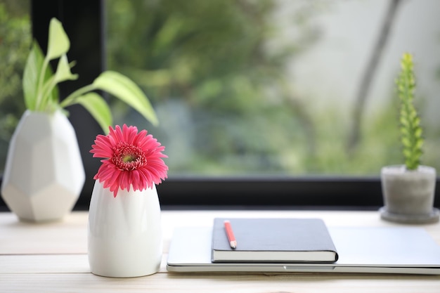 Fiore rosa della gerbera e taccuino sulla scrivania davanti alla finestra