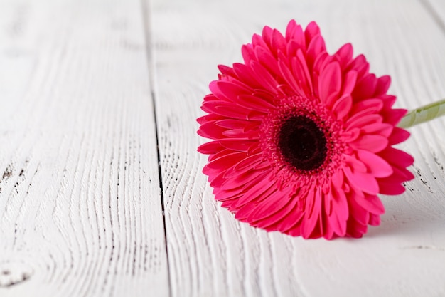 Fiore rosa della gerbera sulla tavola di legno