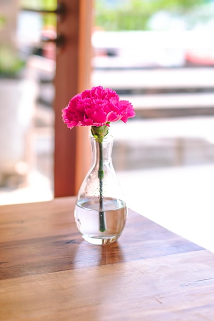 Fiore rosa in bottiglia