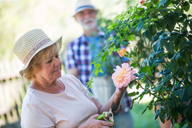 Fiore senior di taglio della donna con i tagli di potatura