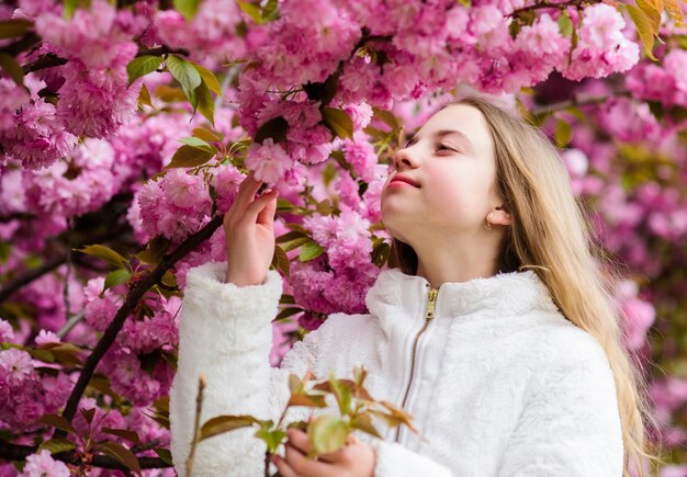 Fiore tenero Concetto di fiore aromatico Ragazza turista in posa vicino a sakura Bambino su fiori rosa di sfondo albero di sakura Ragazza che si gode i fiori di ciliegio o sakura Bambino carino godersi una calda giornata primaverile