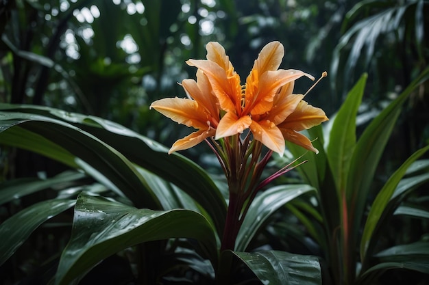 Fiore tropicale in un verde lussureggiante