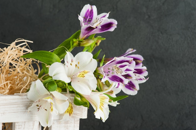 Fiore viola e giallo del giglio in scatola di legno bianca