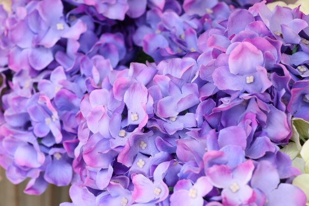 Fiori artificiali di Ortensie di bellezza