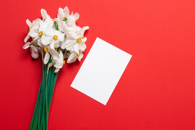 Fiori bianchi del narciso o del narciso su rosso