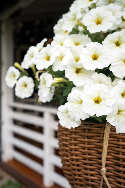 Fiori bianchi in un cestino