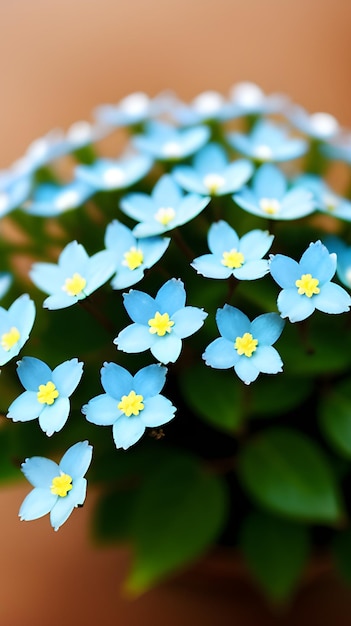 Fiori blu in una pentola