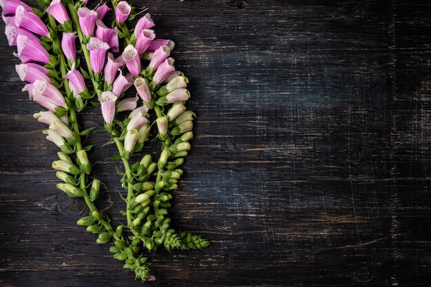 Fiori campanellis su un legno nero con un mesto per il testo