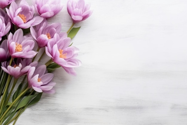 fiori colorati su uno sfondo di legno bianco