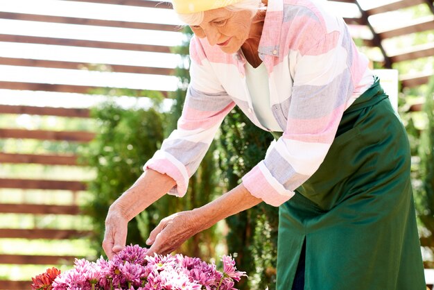 Fiori crescenti della donna senior