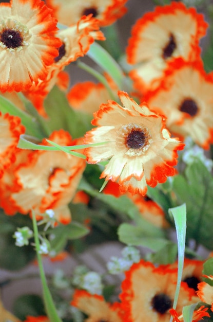 Fiori d'arancio in un bouquet da vicino Sfondo floreale