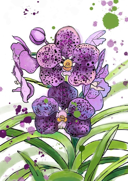 Fiori d'orchidea viola con foglie illustrazione acquerello disegnato a mano isolato su sfondo bianco