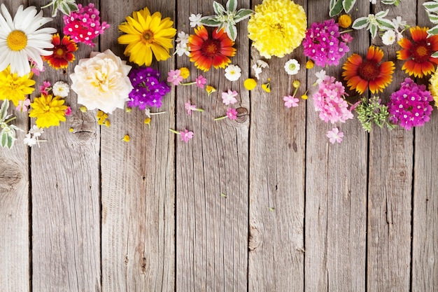 Fiori da giardino su sfondo di legno