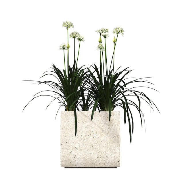 fiori decorativi e piante per interni, isolati su sfondo bianco, illustrazione 3D, cg r