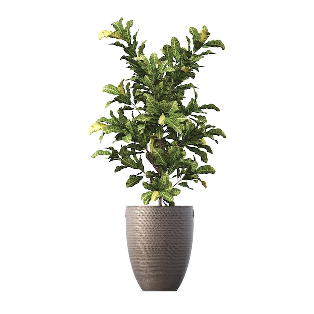 fiori decorativi e piante per interni, isolati su sfondo bianco, illustrazione 3D, cg r