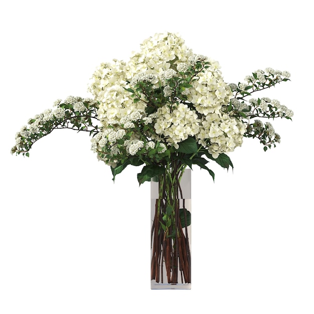 fiori decorativi e piante per interni, isolati su sfondo bianco, illustrazione 3D, cg re