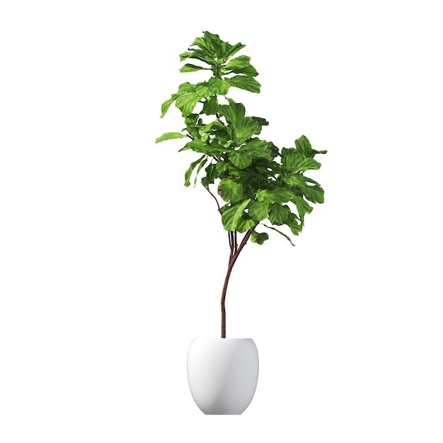 fiori decorativi e piante per interni, isolati su sfondo bianco, illustrazione 3D, cg re