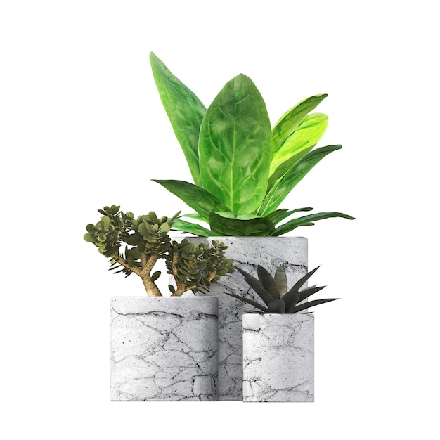 fiori decorativi e piante per interni, isolati su sfondo bianco, illustrazione 3D, cg re