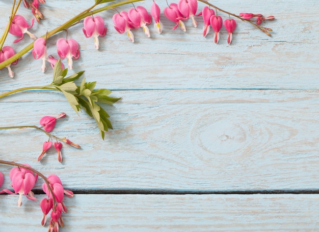 Fiori del cuore sanguinante su fondo di legno