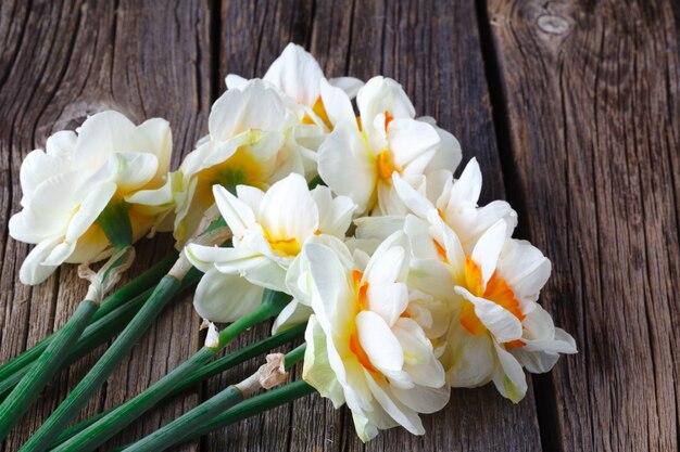 Fiori della primavera su un vecchio legno