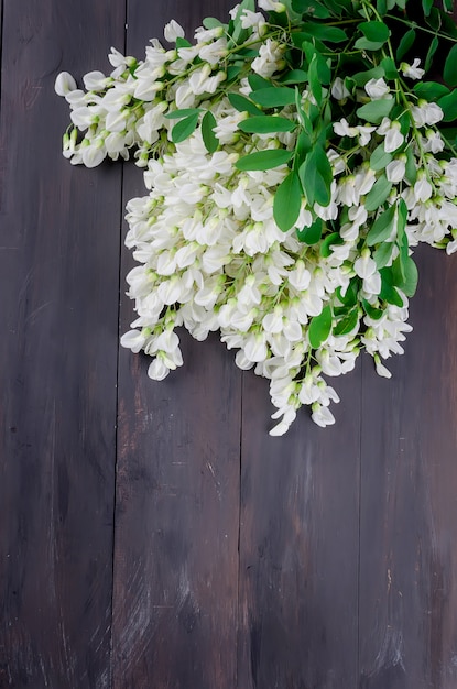 Fiori di acacia su un fondo di legno scuro