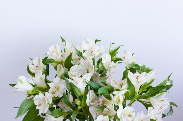 Fiori di Alstroemeria in vaso isolato su bianco