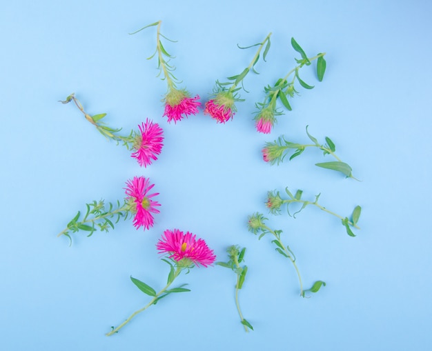 Fiori di aster