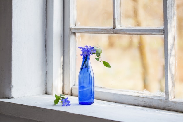 Fiori di bucaneve in una finestra in primavera