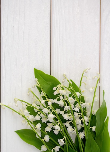 Fiori di bucaneve su uno sfondo di legno bianco