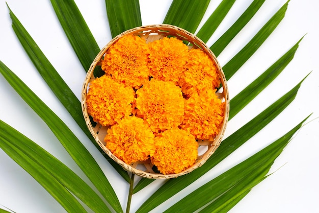 Fiori di calendula in cesto di bambù