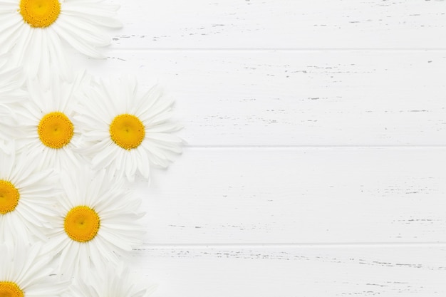 Fiori di camomilla da giardino su sfondo di legno